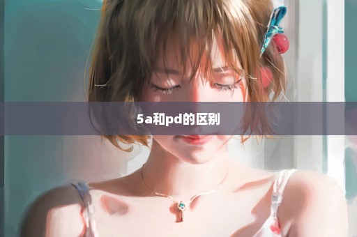 5a和pd的区别