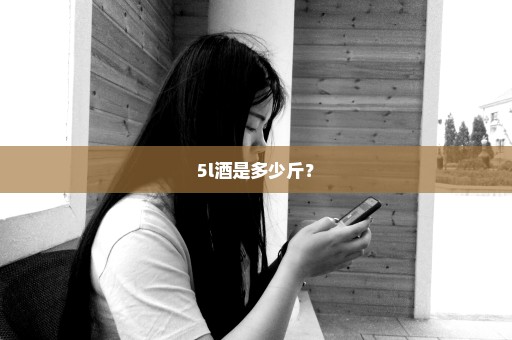 5l酒是多少斤？