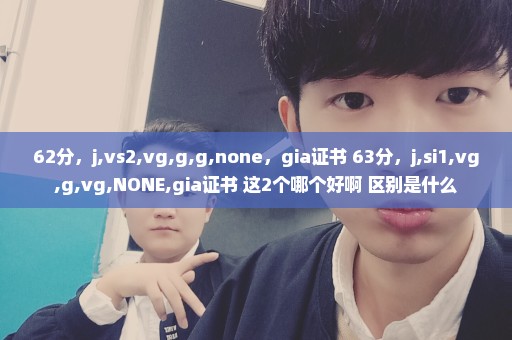 62分，j,vs2,vg,g,g,none，gia证书 63分，j,si1,vg,g,vg,NONE,gia证书 这2个哪个好啊 区别是什么
