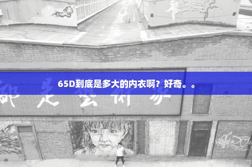 65D到底是多大的内衣啊？好奇。。
