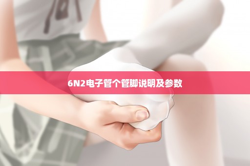 6N2电子管个管脚说明及参数