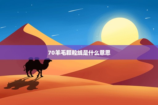 70羊毛颗粒绒是什么意思