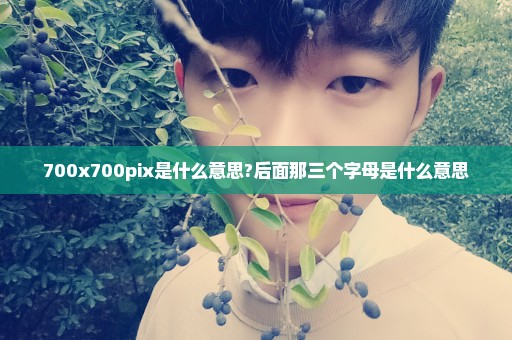 700x700pix是什么意思?后面那三个字母是什么意思