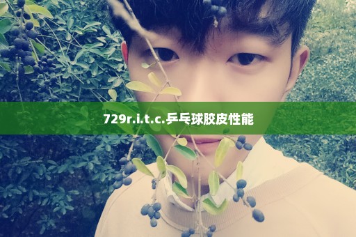 729r.i.t.c.乒乓球胶皮性能