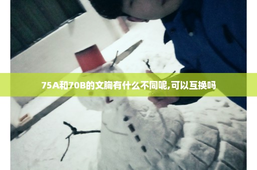 75A和70B的文胸有什么不同呢,可以互换吗