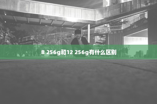8+256g和12+256g有什么区别