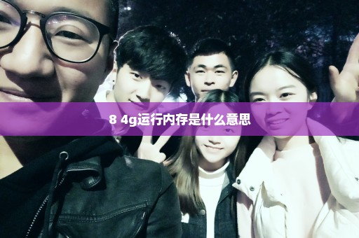 8+4g运行内存是什么意思