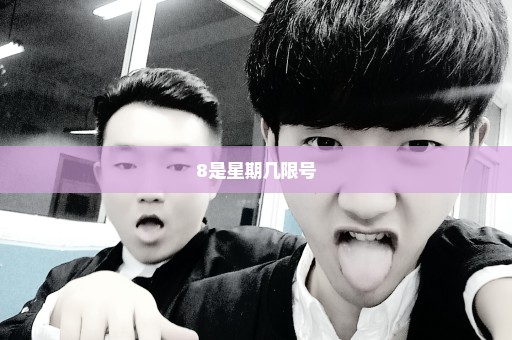 8是星期几限号