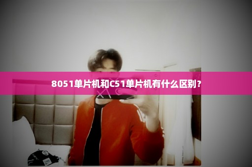 8051单片机和C51单片机有什么区别？