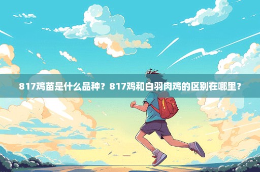 817鸡苗是什么品种？817鸡和白羽肉鸡的区别在哪里？