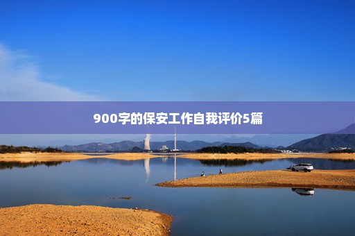 900字的保安工作自我评价5篇