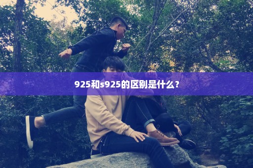 925和s925的区别是什么？