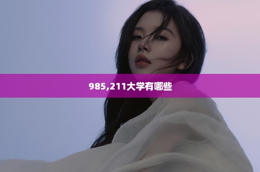 985,211大学有哪些