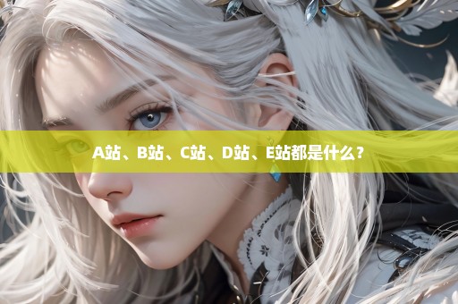 A站、B站、C站、D站、E站都是什么？