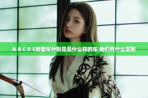 A B C D E类型车分别是是什么样的车 他们有什么区别