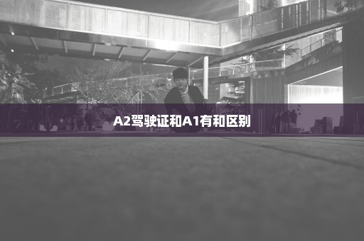 A2驾驶证和A1有和区别