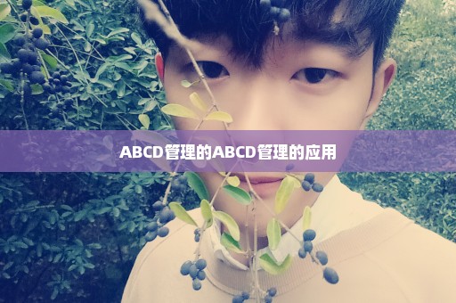 ABCD管理的ABCD管理的应用