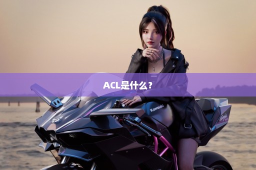 ACL是什么？