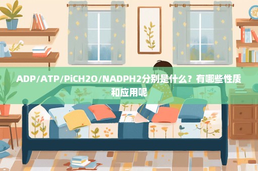 ADP/ATP/PiCH2O/NADPH2分别是什么？有哪些性质和应用呢
