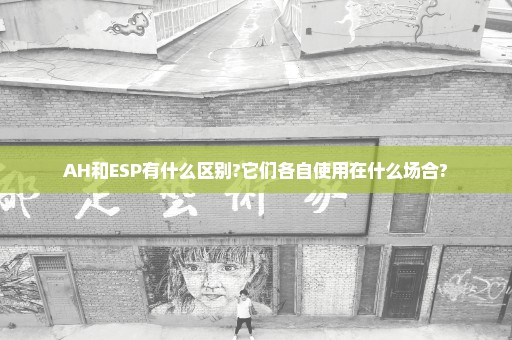 AH和ESP有什么区别?它们各自使用在什么场合?