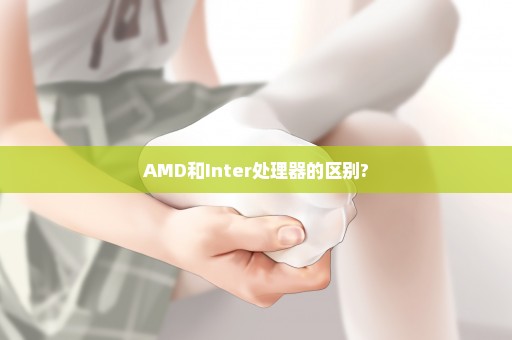 AMD和Inter处理器的区别?