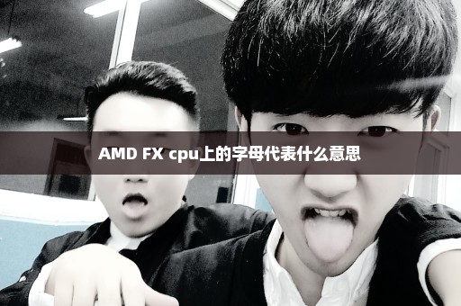 AMD FX cpu上的字母代表什么意思