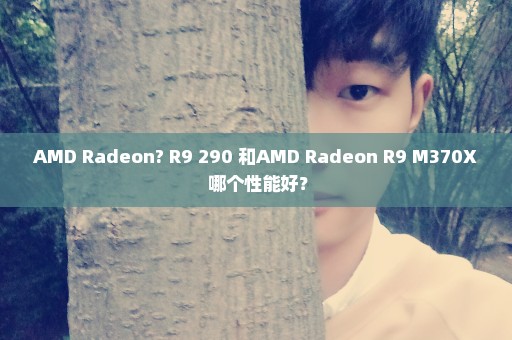 AMD Radeon? R9 290 和AMD Radeon R9 M370X 哪个性能好？