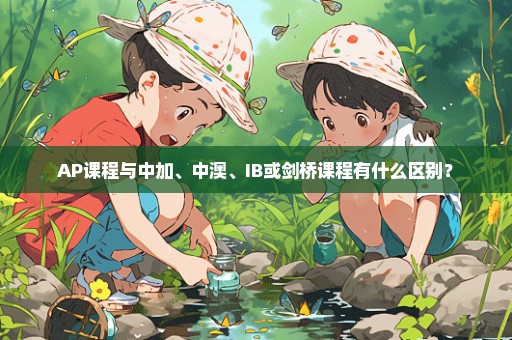 AP课程与中加、中澳、IB或剑桥课程有什么区别？