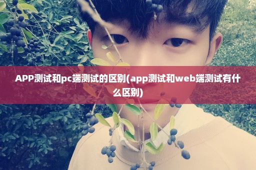 APP测试和pc端测试的区别(app测试和web端测试有什么区别)