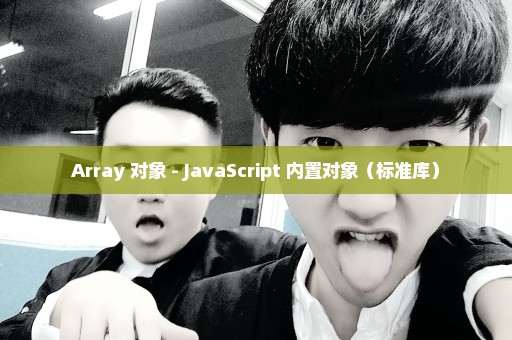 Array 对象 - JavaScript 内置对象（标准库）