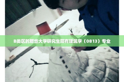 B类区的那些大学研究生院有建筑学（0813）专业