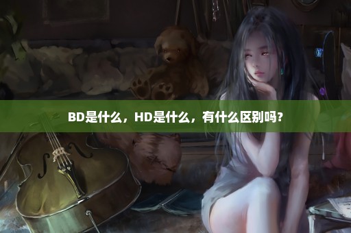 BD是什么，HD是什么，有什么区别吗？