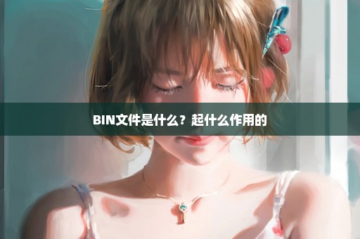 BIN文件是什么？起什么作用的