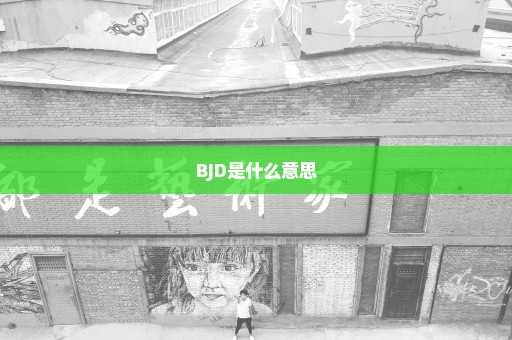 BJD是什么意思