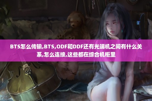 BTS怎么传输,BTS,ODF和DDF还有光端机之间有什么关系,怎么连接,这些都在综合机柜里