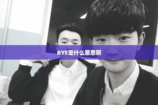 BYE是什么意思啊