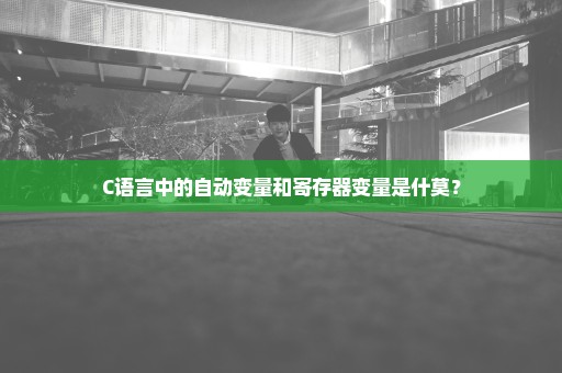 C语言中的自动变量和寄存器变量是什莫？