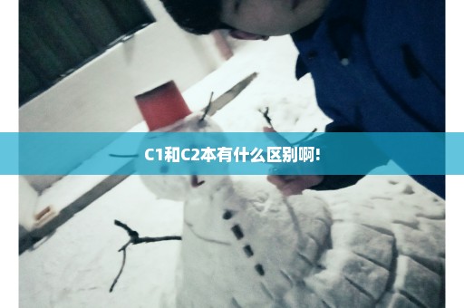 C1和C2本有什么区别啊!