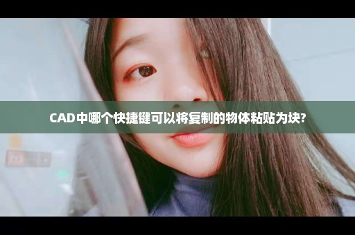 CAD中哪个快捷键可以将复制的物体粘贴为块?