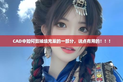 CAD中如何剪掉填充案的一部分，说点有用的！！！