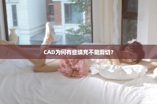 CAD为何有些填充不能剪切？