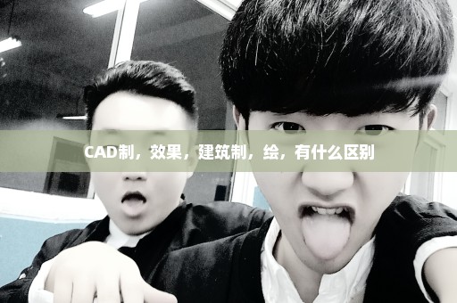 CAD制，效果，建筑制，绘，有什么区别