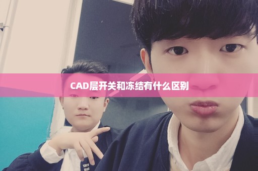CAD层开关和冻结有什么区别