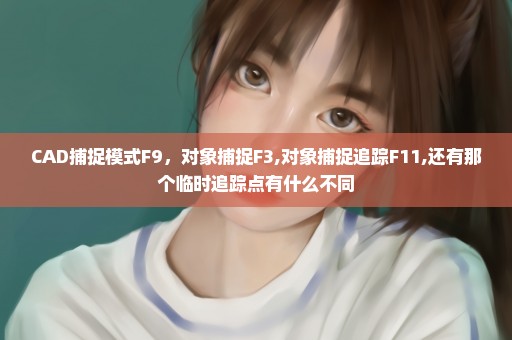 CAD捕捉模式F9，对象捕捉F3,对象捕捉追踪F11,还有那个临时追踪点有什么不同