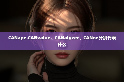 CANape.CANvalue、CANalyzer、CANoe分别代表什么