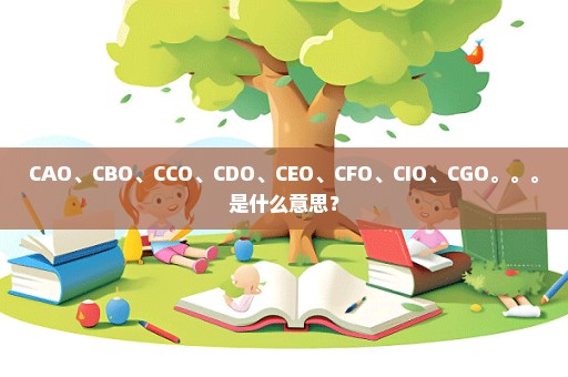 CAO、CBO、CCO、CDO、CEO、CFO、CIO、CGO。。。是什么意思？