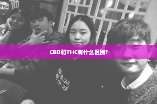 CBD和THC有什么区别?