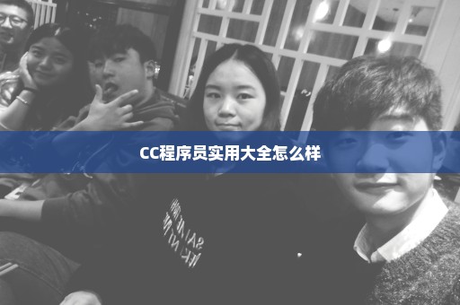CC程序员实用大全怎么样
