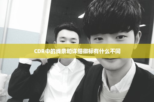CDR中的线条和详细徽标有什么不同