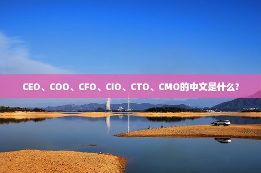 CEO、COO、CFO、CIO、CTO、CMO的中文是什么?
